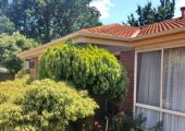 Guttering & downpipe replacements